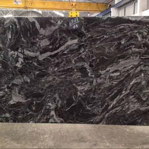 Superficie pulida de losa de granito de Bosque Negro de diseño moderno - Product Image 1