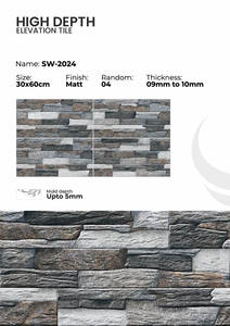 Carreaux muraux extérieurs en porcelaine 300x600mm pour façade - Product Image 3