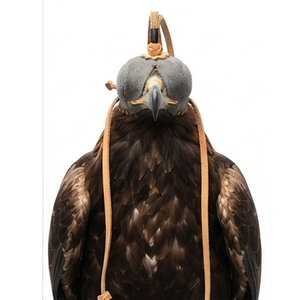 Custom Soft Leather Falconry Hood Hunting Falcon Embossed Design Outdoor Equipment One Size All Seasons Portable Lightweight - Product Image 6