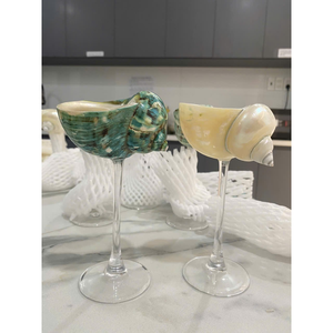 Cristal de concha natural hecho a mano | Copa de Martini pulida | Copa de concha sostenible para restaurantes y compradores mayoristas. - Product Image 3