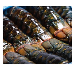 Venta al por Mayor de Langostas Congeladas de California, Suministro de Mariscos de Primera Calidad para Hoteles, Restaurantes y Servicios de Catering - Product Image 3