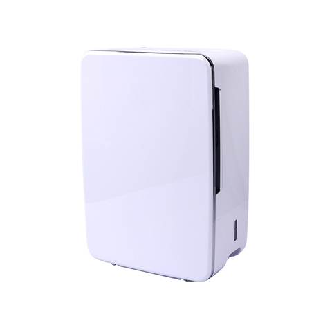 Dehumidifier Room