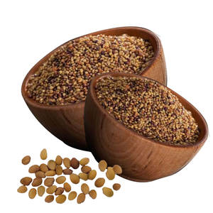 Berseem Clover | Cultivo listo para cultivar para ganado - Product Image 5