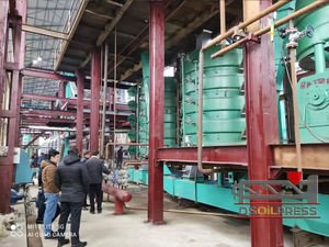 ZX319 nouvelle condition automatique haute capacité presseur d'huile Machine graines de tournesol soja noix de coco moulin d'extraction pour moteur de sésame - Product Image 4