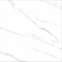 Carreaux aspect marbre en 120X120cm Carreaux de porcelaine en surface brillante en carreaux "Blanche Neige" pour Hall par Novac Ceramic India