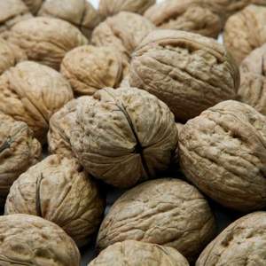 เมล็ดวอลนัทอบแห้งแบบพรีเมี่ยม - Product Image 2