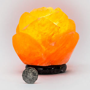 Lámpara de sal de cristal del Himalaya natural, decoración de marfil tallada con estilos de amor de flores, luz nocturna para el hogar o la oficina - Product Image 2