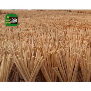 Bois d'eucalyptus scié pour l'utilisation en usine, la fabrication de meubles, la construction et l'exportation - Product Image 1