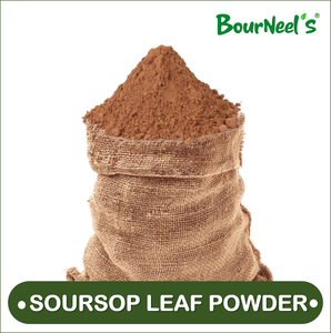 Poudre de feuilles de graviola au corossol 100gm thé au corossol naturel sans conservateurs ajoutés séché au soleil international exportation indienne - Product Image 2