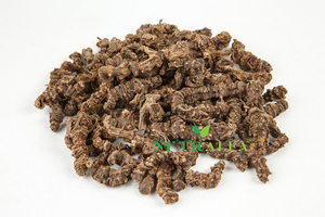 Xie Cao Gen Meilleure Qualité Racines de Valériane en Gros pour Suppléments à Base de Plantes Valeriana Officinalis - Product Image 2