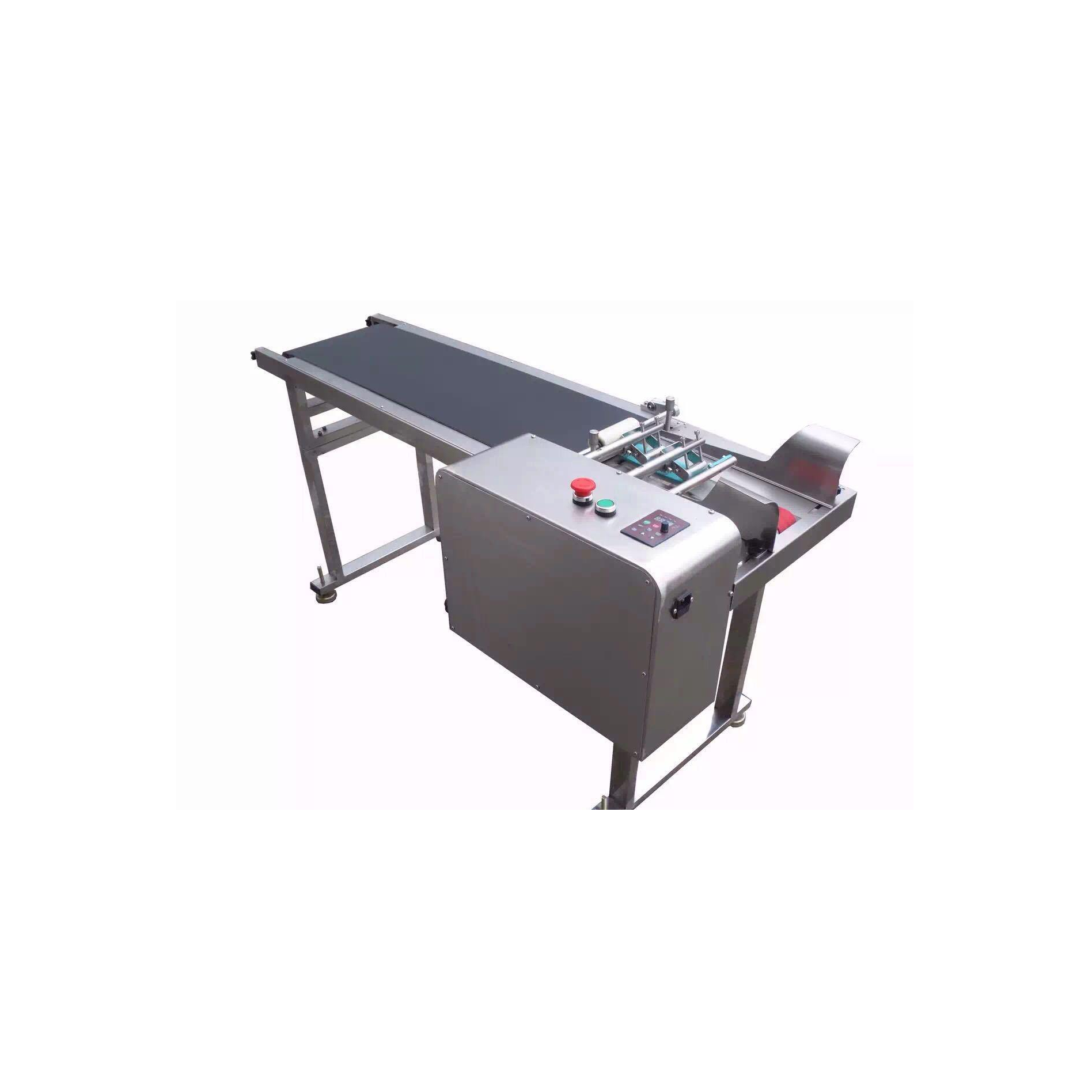 Automatic Paging Conveyor Belt Machine with Batch Coding Machine