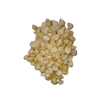 ข้าวโพดสีขาวขายในปริมาณมากผู้ผลิตที่เชื่อถือได้ - Product Image 3