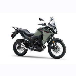 Kawasaki VERSYS-X 300 2024 - Product Image 3