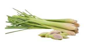 Tige de citronnelle naturelle pure pour la cuisson des boissons et des parfums Utilisation de la citronnelle fraîche de qualité d'exportation pour l'arôme alimentaire - Product Image 6