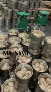 PRESERVED TROPICAL FRUIT CANNED LITCHI - HALAL CERTIFIED OEM BRAND FRESH LYCHEE IN <b>LIGHT</b> SYRUP - Product Image 2