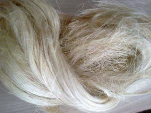 Fibre de Sisal Brute KBS Écologique Naturelle Blanche Fineur Longueur Personnalisée pour Filage du Béton et Autres Applications Fibres Chine 27739729209 - Product Image 1