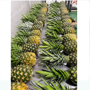 Ananas frais 100% biologiques - Product Image 4