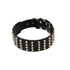 Nouveauté Accessoires pour chiens de compagnie Colliers de chien en cuir de luxe Collier de chien classique avec logo personnalisé - Product Image 2