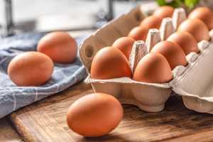 Gran oferta de huevos de gallina, huevos de avestruz, Países Bajos frescos de los huevos de mesa, huevos de gallina frescos de granja marrón y blanco - Product Image 4