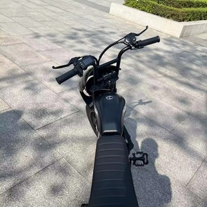 Pneus 20 pouces prochaine génération 400-1500W Dirt E-bikes 48V 18A 26A 36A vélo de ville électrique - Product Image 2