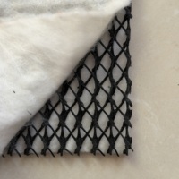 Filet de drainage géocomposite efficace, géogrille, géomatte pour le drainage des sous-sols de voies ferrées et des tunnels