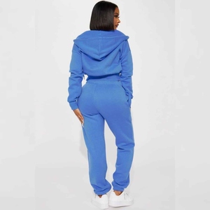 Nuevo Conjunto Deportivo de Moda para Mujer, con Logotipo Personalizado, Sudadera con Cremallera, Pantalones Deportivos Lisos, Conjunto de Invierno de Algodón y Felpa - Product Image 4