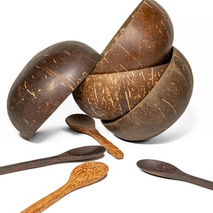 Cuillère à café durable ustensiles de bar cuillères à noix de coco pour déguster et servir des boissons - Product Image 6