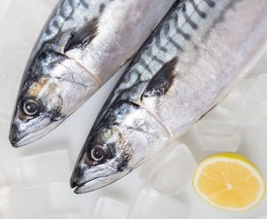 ปลาทูแอตแลนติกกับปลาแมคเคอเรลแจ็คปลาแช่แข็งโดยแอตแลนติก - Product Image 4