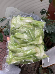 BEST SELLER FROZEN <b>TARO</b> STEM/ ADORA PLANT WITH <b>FRESH</b> COLOR AND BEST QUALITY FROM VIETNAM - Product Image 6