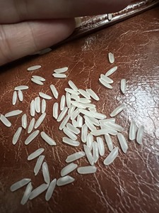 ข้าวไทย hom Mali 5กก. ข้าวไทยเกรดพรีเมี่ยมจากเวียดนามเกรดส่งออกสำหรับการส่งออก-แอนนา DO w/ A + 84982153058 - Product Image 6