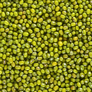 Usine en vrac de qualité supérieure exportation directe de gros haricots mungo séchés naturels haute teneur en protéines récolte fraîche qualité haricots mungo purs - Product Image 1