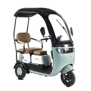 รถสามล้อไฟฟ้าสำหรับพักผ่อนพร้อมแบตเตอรี่กำลังสูง, รถสามล้อไฟฟ้าสำหรับผู้ปกครองและผู้ใหญ่พร้อมหลังคา - Product Image 3