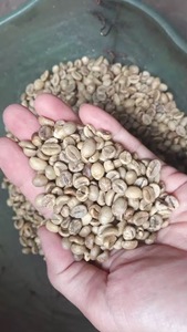 Café vert Robusta de qualité supérieure, 100% naturel et pur, meilleur prix d'usine, achetez maintenant ! - Product Image 2
