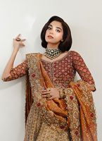 Robes de mariée pakistanaises en mousseline de soie, coupe ajustée, longueur ras du sol, style formel-casual, avec pompons, perles, boutons sur le devant, logo, lavables, ornées de diamants