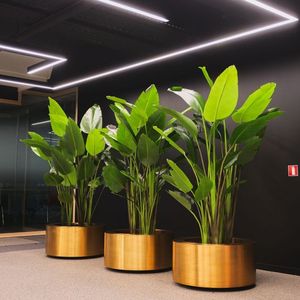 Présentoir de fleurs d'intérieur de grande taille en métal doré rond moderne pour plantes - Product Image 1