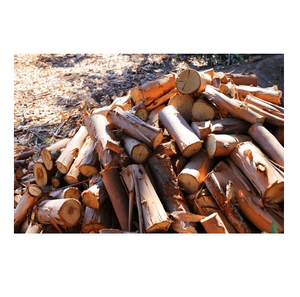 Fresh Cut Eucalyptus Wood Round <b>Logs</b> - Wholesale Price, Large Quantity Available - Product Image 4