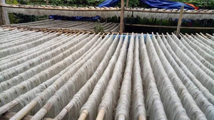 Fideos Vietnamitas de Alta Calidad, Sin Gluten y Saludables, Muy Razonables, Rápidos y Fáciles de Cocinar - Product Image 4