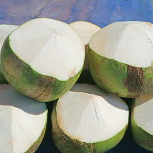 Noix de coco fraîche jeune et mûre de qualité supérieure, semi-décortiquée, de 12 à 15 cm, de fruits d'eau douce subtropicaux, origine Vietnam - Product Image 4