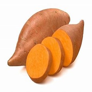 Orange-Fleshed Nutrient Rich Sweet <b>Potato</b> Available atModerate Prices - Product Image 5
