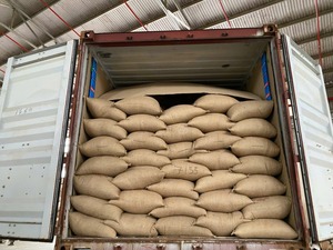 NOUVEAU CROP 2025 Vietnam Robusta Coffee Bean S18 Cleaned TOP SALE QUALITY (Kath Hanfimex 0084327324400) - Product Image 2