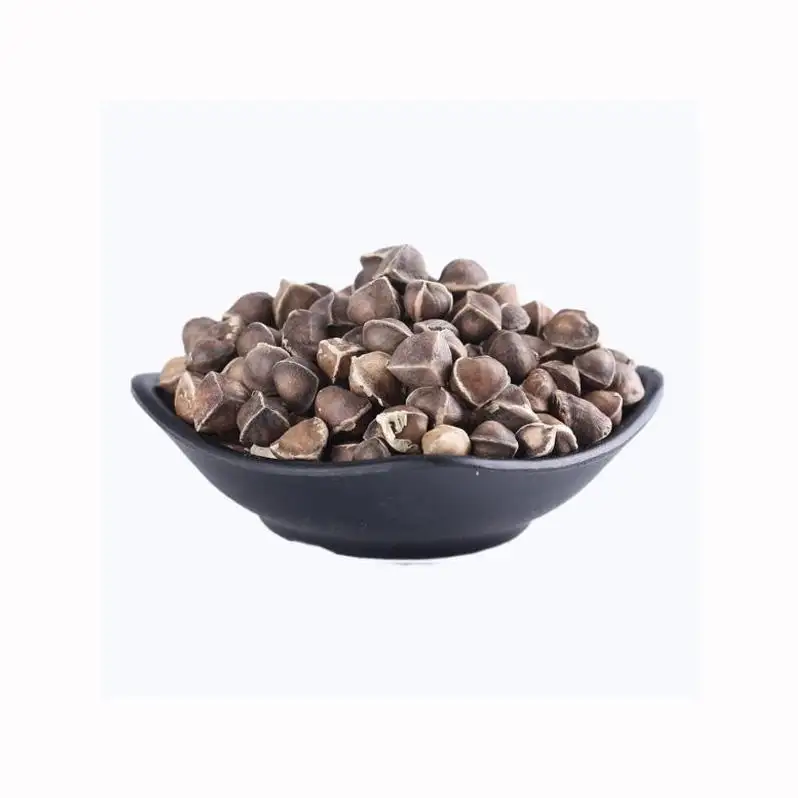 Wholesale Organic moringa seeds for cultivation moringa oleifera seeds