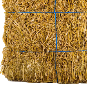 หญ้าโรดิสสดฟางอัดฟางคู่คุณภาพการส่งออกสําหรับทุกประเทศจัดส่งที่มีอยู่ - Product Image 4