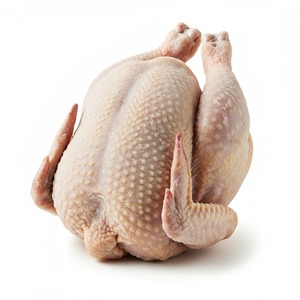 Oferta caliente pollo congelado suministro a granel adecuado para supermercados cadenas de alimentos al por mayor exportación lista - Product Image 2