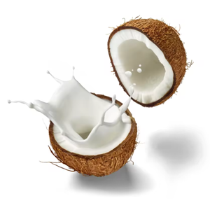 Leche de coco congelada | Alternativa láctea natural saludable, producto vegano orgánico, Exportación a granel en todo el mundo - Product Image 1