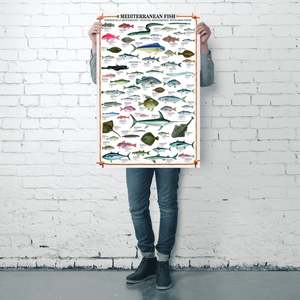 Mediterranean Fish Art Print with 2 <b>Poster</b> Hangers Paper Wall Decorative Hanging Set - Product Image 4