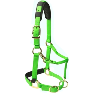En gros, Halter en corde de qualité supérieure, réglable, avec rembourrage, en matériau PP, pour l'équitation, design personnalisé - Product Image 2
