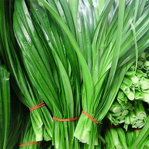 Hojas de pandan frescas congeladas hoja de pandan verde de calidad superior exportada a granel desde granjas de Vietnam - Product Image 2