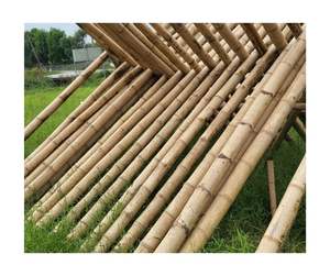 Venta al por mayor de caña de bambú de primera calidad Material de alta calidad de bambú natural ecológico listo para exportación de fábrica de Vietnam - Product Image 2