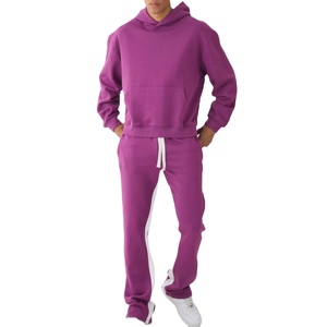 Customised Color Solid Men's Lightweight Breathable 100% Cotton Tracksuits Casual <b>Running</b> Wear with Hooded Collar for Autumn - Product Image 2