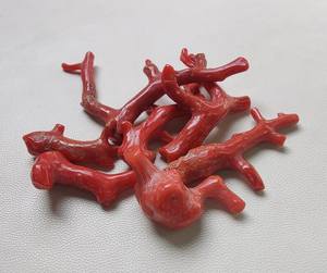 100% palo de rama de Coral rojo I pulido Natural 110 Cts cabujón de rama de Coral italiano pulido joyería de fabricación de piedras preciosas de Coral rojo - Product Image 4